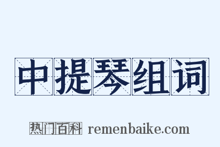 中提琴组词是什么意思的图片